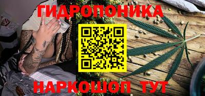 стаф Бузулук