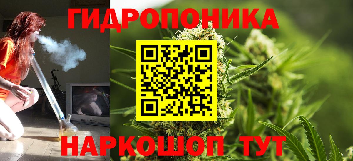 Бошки марихуана OG Kush  Вход с VPN  Канабис сатива  Тихвин  Конопля Amnesia 